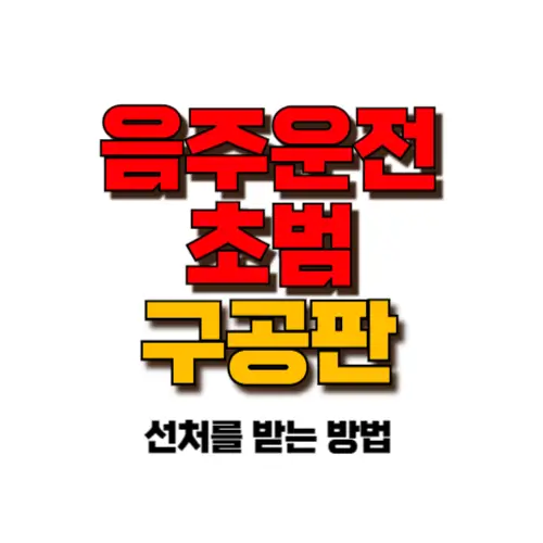 음주운전 초범 구공판 썸네일