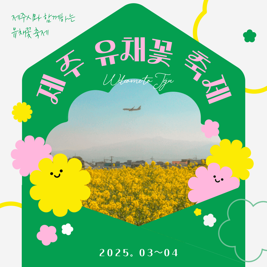 제주 유채꽃축제 정보