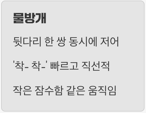 겉모습보다 확실한 움직임의 차이