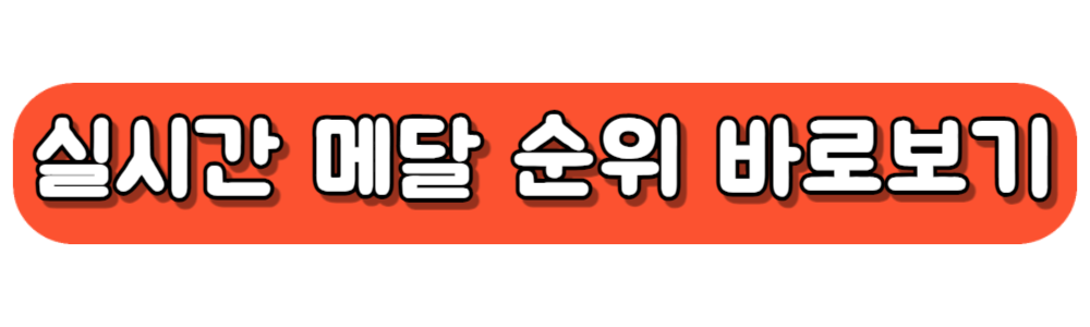 2024 파리올림픽 실시간 메달 순위 바로보기