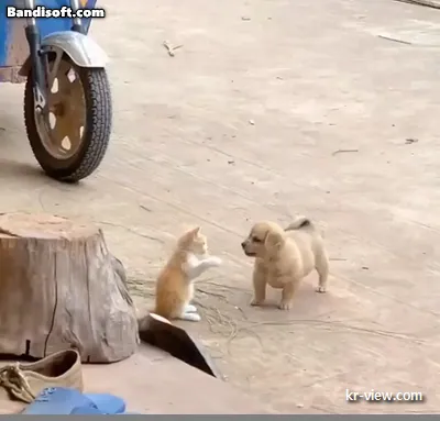 img.webp?credential=yqXZFxpELC7KVnFOS48ylbz2pIh7yKj8&expires=1767193199&allow_ip=&allow_referer=&signature=k1rrEa9DW1s535II%2BRqPp0AfXc4%3D