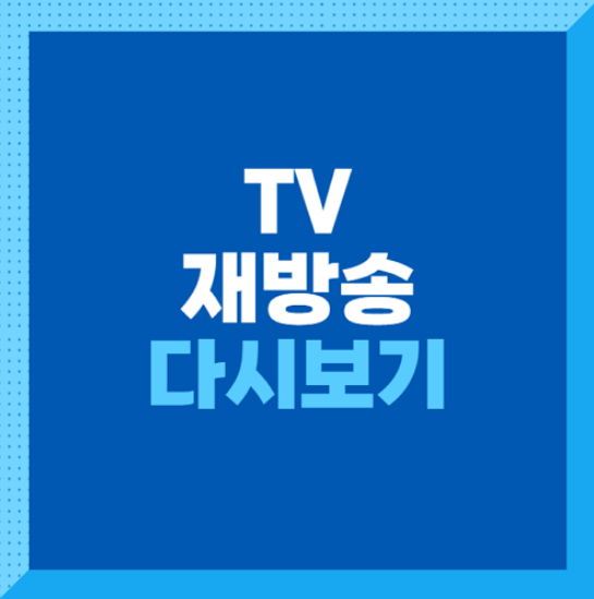 드라마 예능 지상파 종편 케이블 및 OTT 방송프로그램 재방송 다시보기 방법