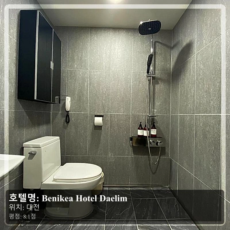 Benikea Hotel Daelim_7