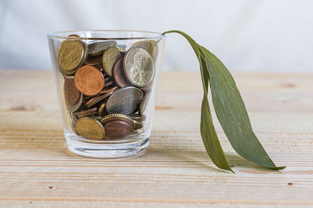 Youth Savings Account