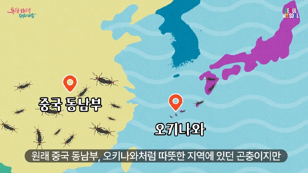 러브버그