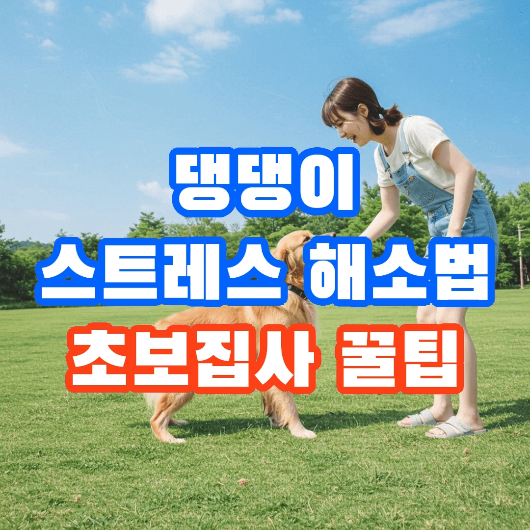 반려견 스트레스 해소법, 초보 주인이 알아야 할 5가지 비법🐶