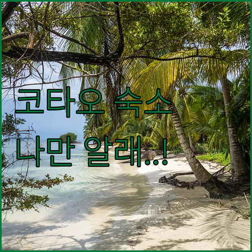 다이버들의 성지 코타오에서 나만 알고..