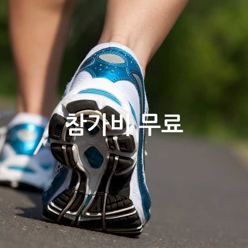 손목닥터9988 남산 걷기 챌린지