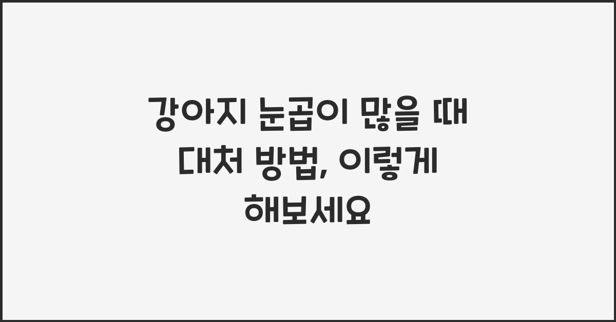 강아지 눈곱이 많을 때 대처 방법