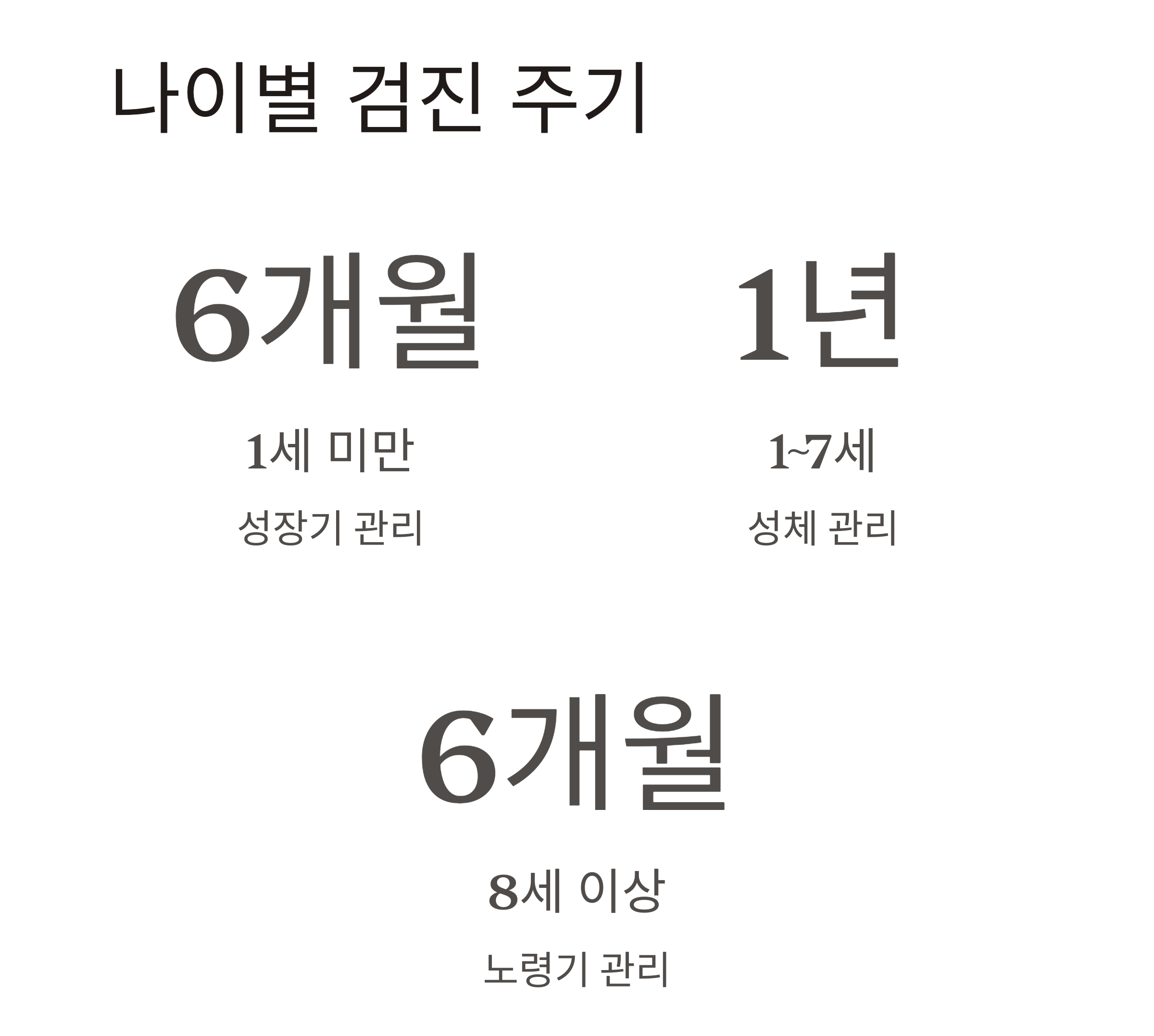 반려동물 건강검진, 꼭 받아야 하는 이유와 적정 주기