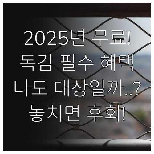어르신 어린이 임신부 2025 독감 ..