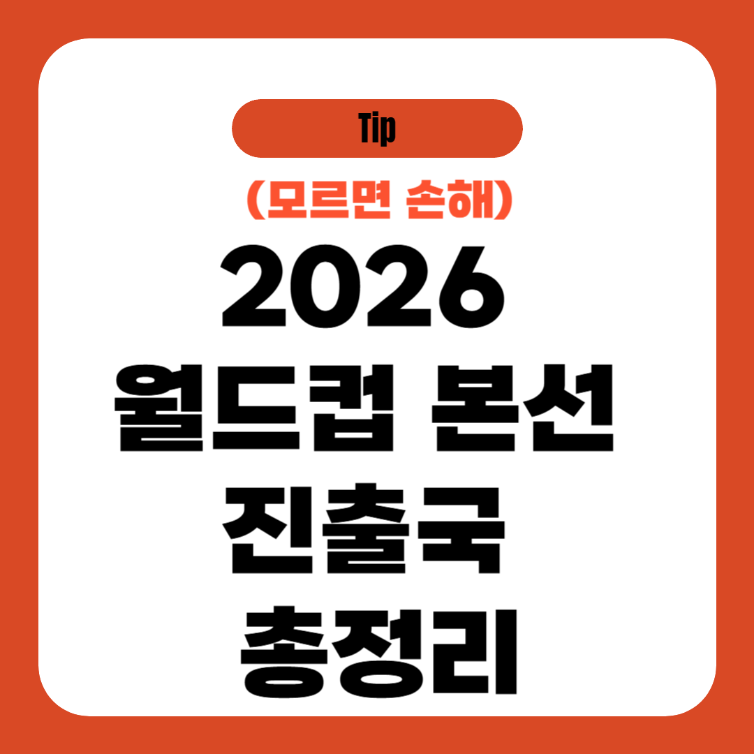 2026 월드컵 본선 진출국 총정리