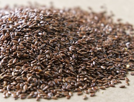 알티지 오메가3