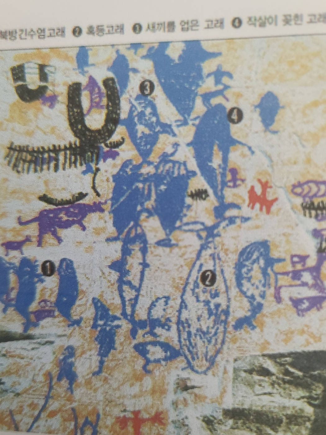 반구대 암각화 고래 그림