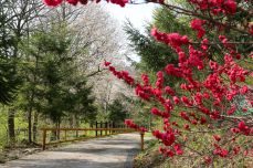 국립자연휴양림