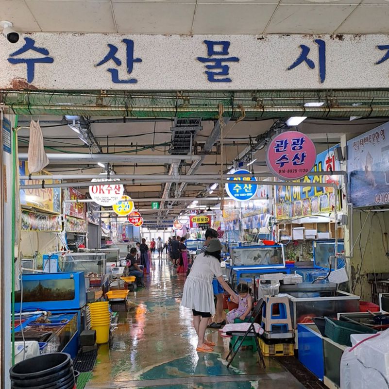 보령 가볼만한곳 베스트10 무창포해수욕장