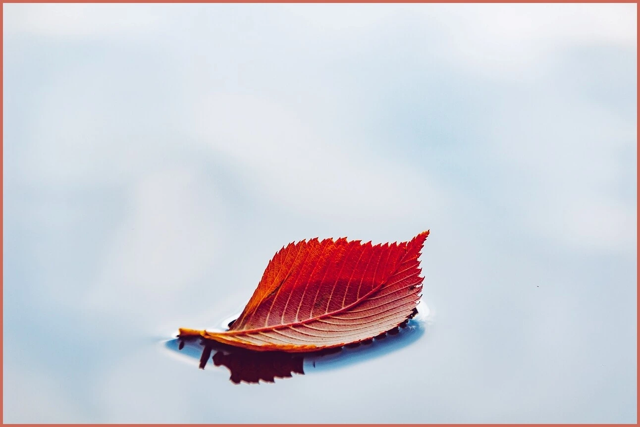 정기예금 금리 가장 높은곳