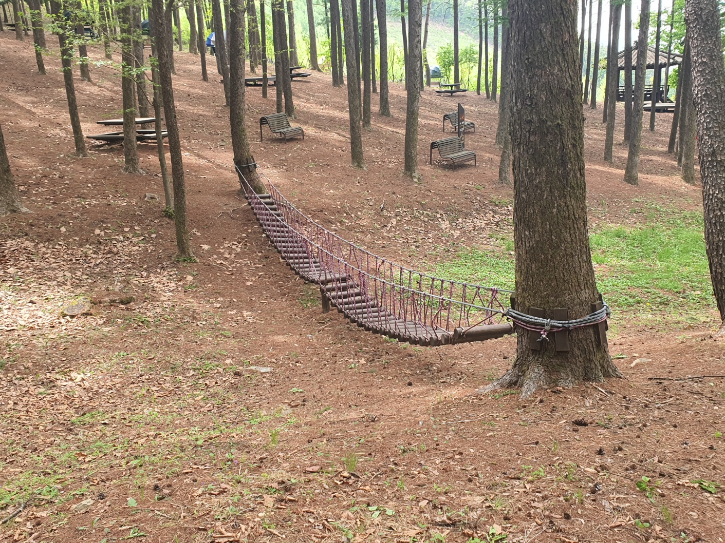 봉래산산림욕장