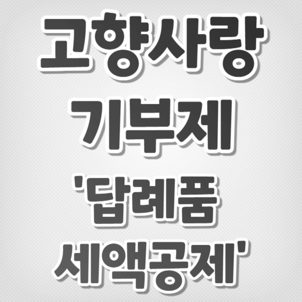 고향사랑기부제