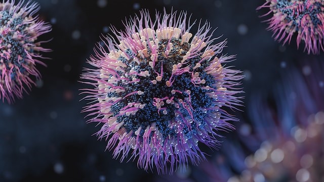 세스코 가정집 비용