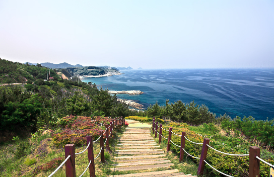 영덕 블루로드 트레킹길