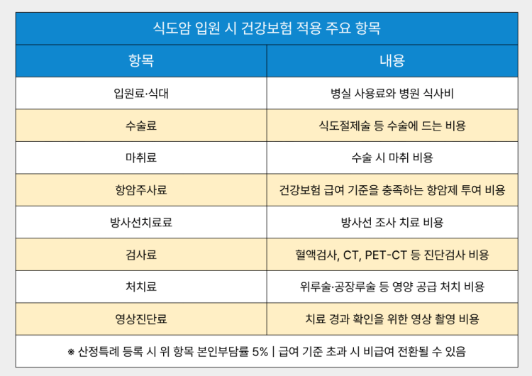 식도암 입원 시 건강보험 적용 주요 항목