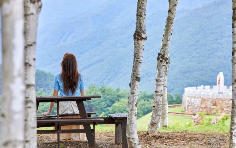 정선 가볼만한곳 베스트 10