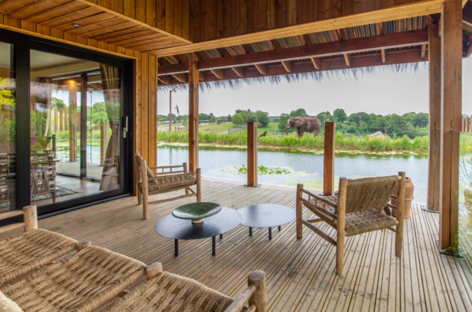 지구마블 세계여행2 사파리