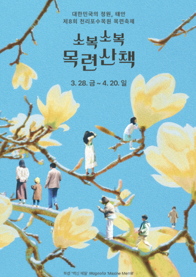 태안 제8회 천리포수목원 목련축제