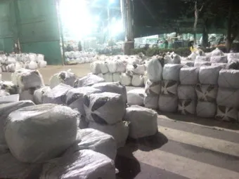 가락동 농산물 경매시세 실시간 확인 완벽 농산물 정보_7