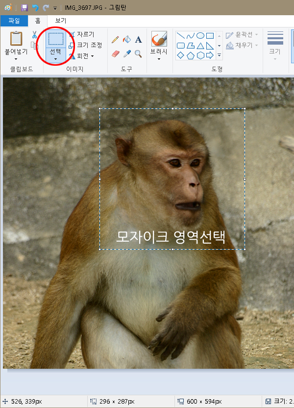 모자이크 영역선택