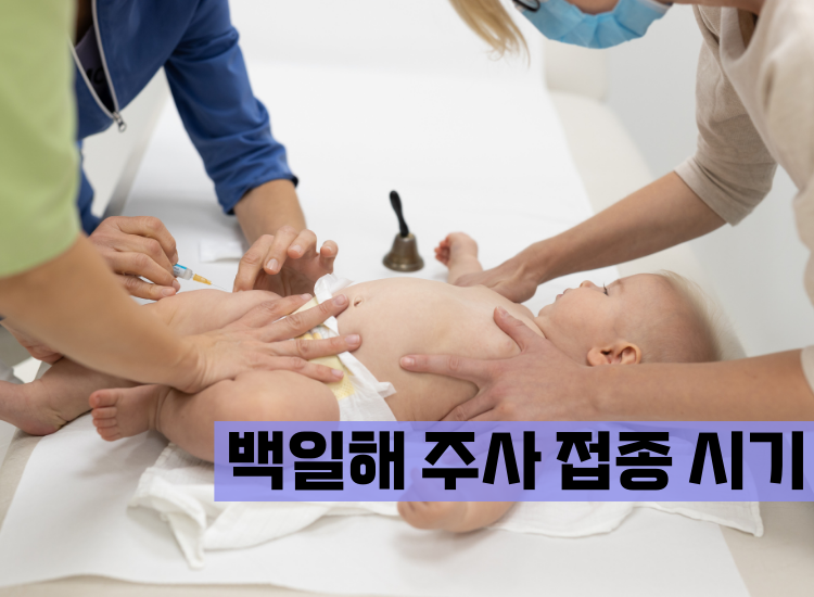 백일해 주사 시기