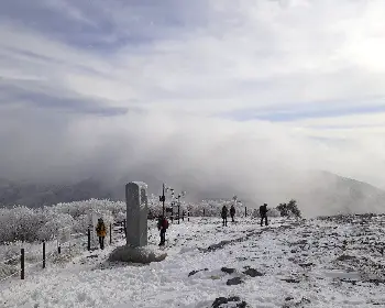 태백산 국립공원 실시간 cctv_26