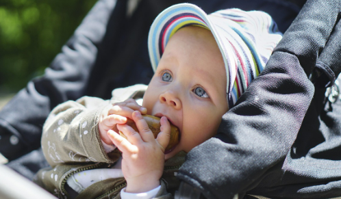 유모차 시트 소재 비교 (면, 메쉬, 인조가죽) 관련 사진