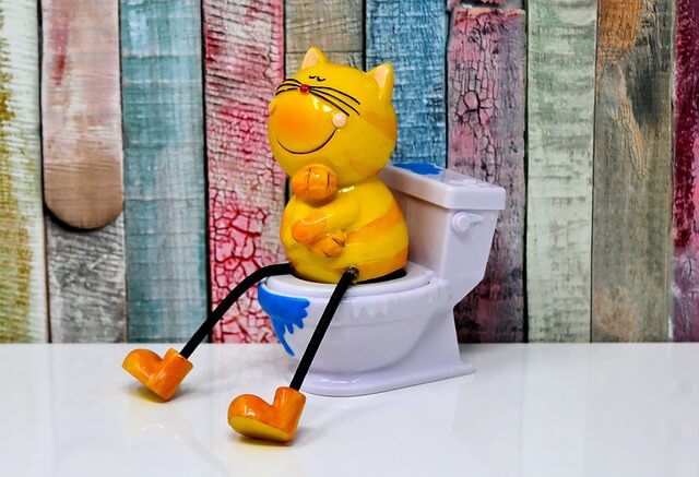 돌코락스 성분 가격 먹는법