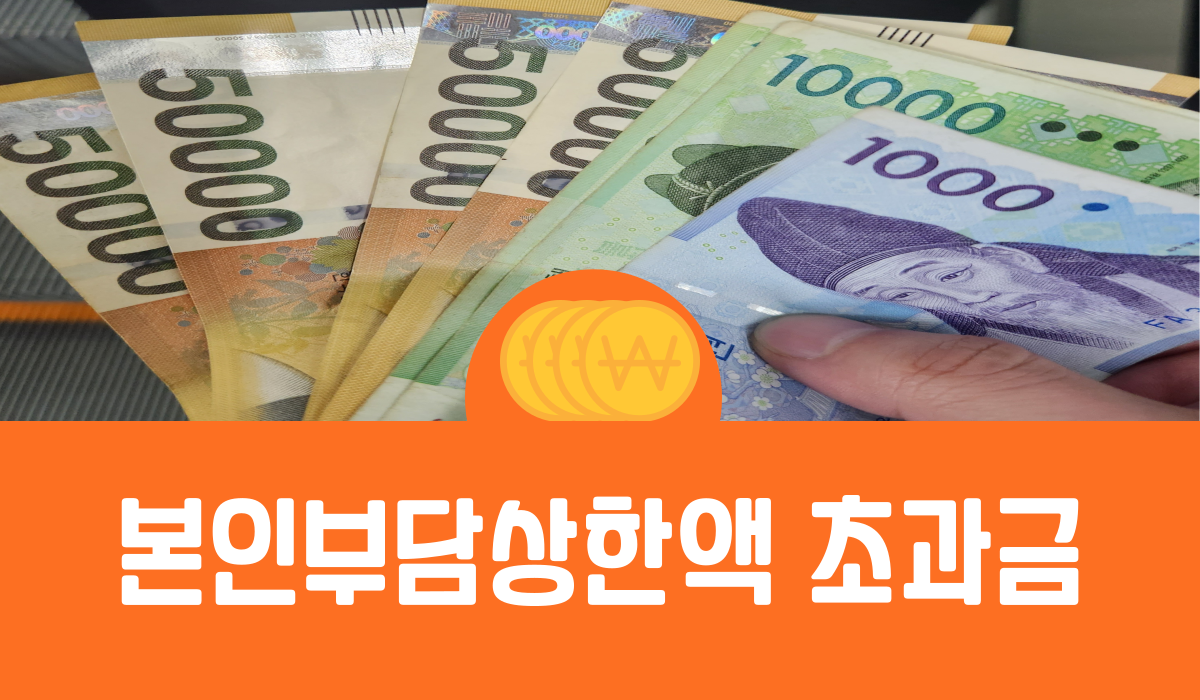 본인부담상한액 초과금