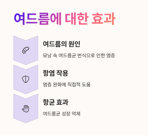 커큐민 여드름 효과