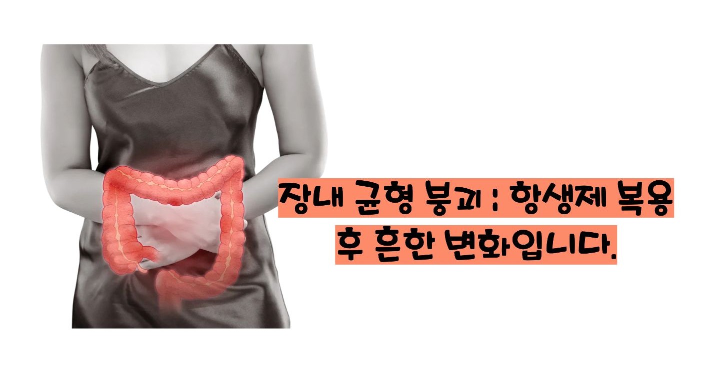 항생제 부작용