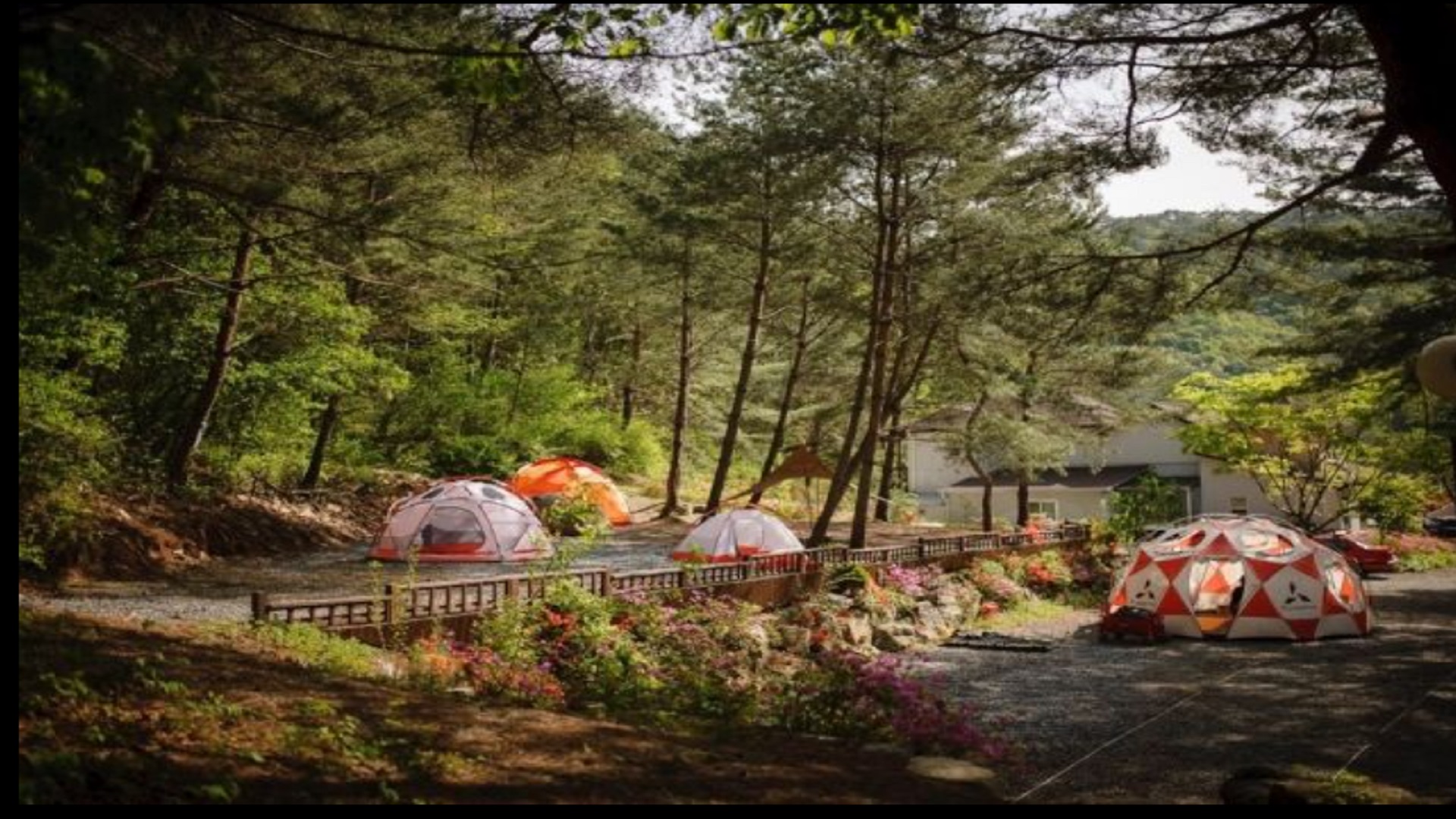 영월군 영월 캠프 예약 바로가기