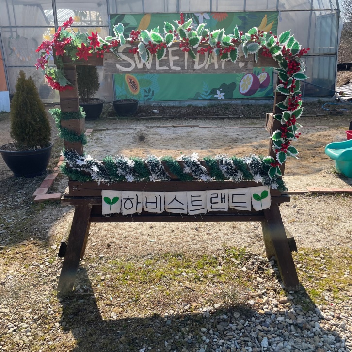 장성-하비스트랜드-5