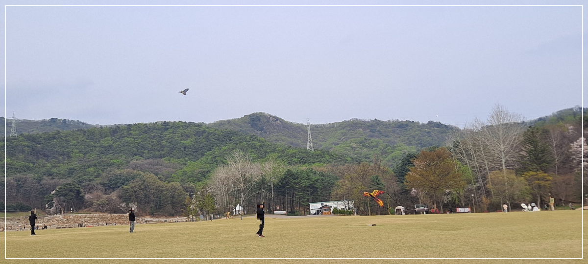 연날리기