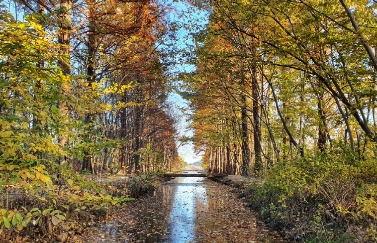 경북천년숲정원