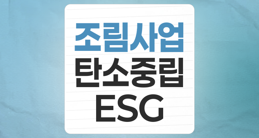 기후 위기 시대, '조림사업' 테마주로 지속 가능한 미래에 투자하라!
