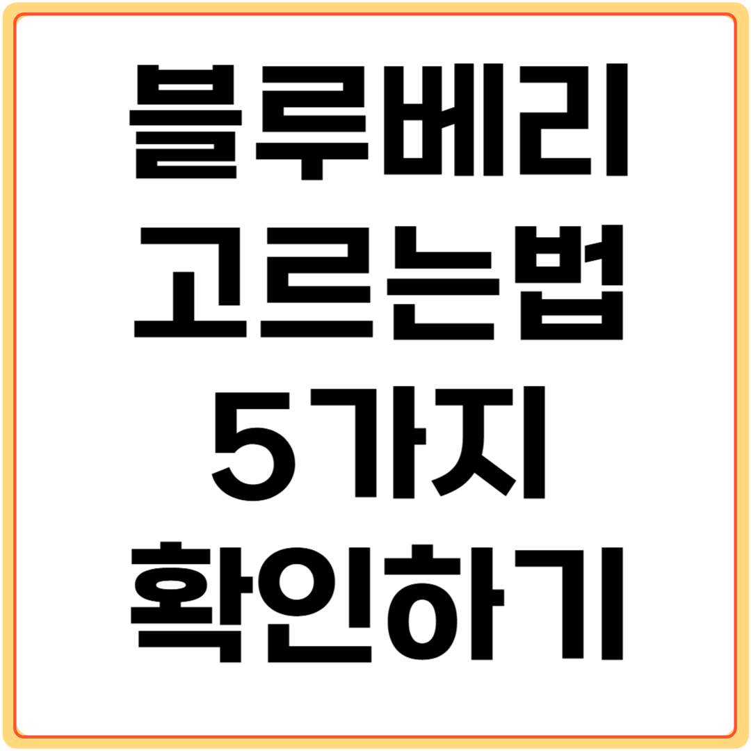 블루베리-고르는-법-5가지-확인하기