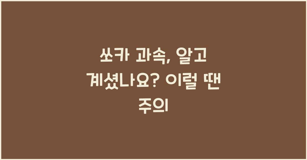 쏘카 과속