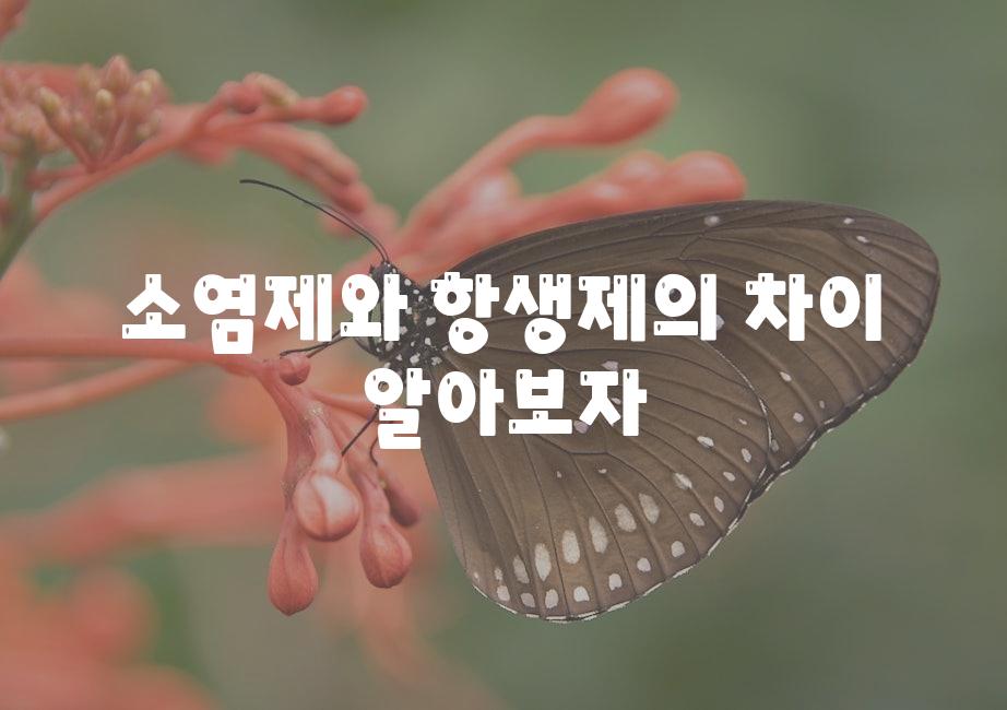 샘플 (51)