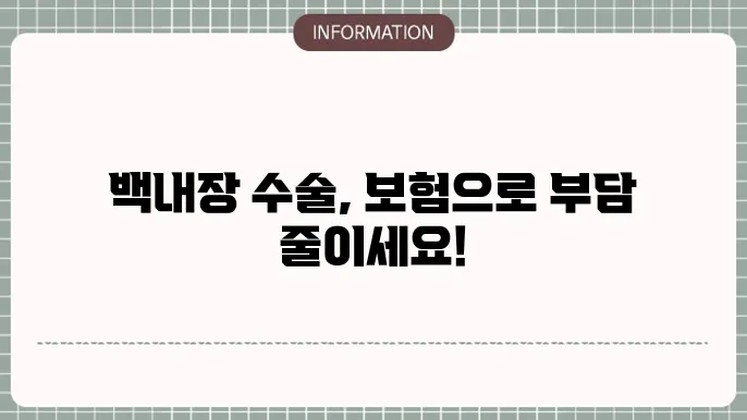 인공 수정체