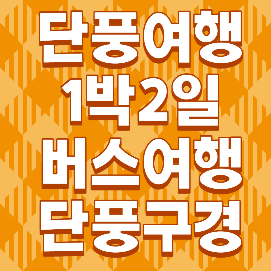 단풍여행 1박2일 버스여행 단풍구경