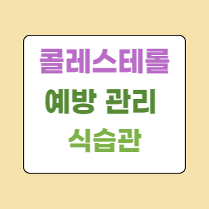 콜레스테롤-예방-관리-식습관
