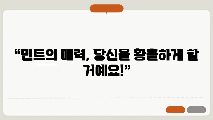 민트 허브
